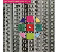 Blow Monkeys, The - Blow Monkeys - This Is Your Life - [7"]