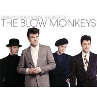 Blow Monkeys,the - Digging Your Scene-the Best of