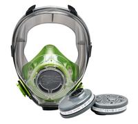 BLS 5600 con filtri 202 P3 R D Maschera Intera con Guarnizione in TPE e 2 Filtri Sostituibili 202 P3 con Attacco a Baionetta b-lock. Per Polveri, Amianto, Falegnameria, Edilizia e Fai da Te