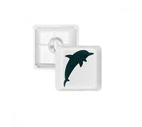 Blu oceano Streamline cute Dolphin PBT per tastiera meccanica bianco OEM n. marcato stampa multicolore MultiColor R3