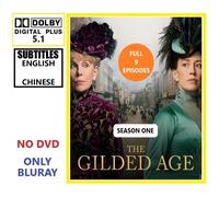 BLU RAY THE GLDED AGE Stagione 1 (2022) Drammatico