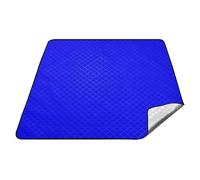 Blu Tinta Unita Pura Pianura Impermeabile Campeggio Coperta Grande Interno Grande Coperta da Picnic per Le Donne 30s Estate Regalo manta de playa extra