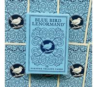 Blu Uccello Oracolo Lenormand Carte Strato S.Kaplan Esoteric Telling US Giochi