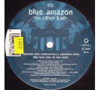 Blue Amazon - No Other Love