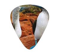 Blue Bird - Plettri per chitarra con scatola portaoggetti, 12 plettri per chitarra, 3 spessori, sottili, medi, pesanti, 0,46, 0,71, 0,96 mm, per chitarra acustica, elettrica o basso