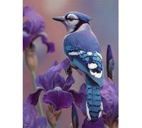 Blue Birds 120 Piece Jigsaw Puzzles for Adults, Colourful, Challenging & Brainteasing Adult puzzles 120 Pieces Flower, Fun jigsaws for The Whole Family 10x8 inch