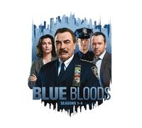 Blue Bloods: Seasons 1-4 (DVD)