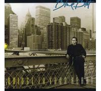 BLUE BLOT - Bridge to Your Heart