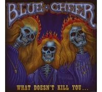 Blue Cheer - What Doesn T Kill You