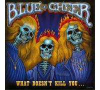 Blue Cheer - What Dowsn'T Kill You...