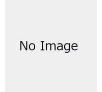 BLUE EXORCIST RENZO SHIMA PM PERCHING Figura Sega