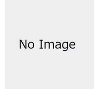 BLUE EXORCIST RIN OKUMURA XROSS LINK FIG Figura Sega