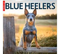 Blue Heelers 2026 Calendar: Hardworking Blue Heelers in Stunning Photography - A Year of Loyalty, Strength, and Country Life
