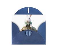 Blue HYTTER - Biglietto di auguri per Natale, compleanni e anniversari, motivo: coniglietto bianco sul retro di una tartaruga