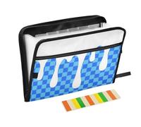 Blue Ice Cream Plaid Cartella a quadretti con divisori 13 tasche formato A4 Lettera con chiusura a cerniera per forniture per ufficio Cartella di file espandibile per guardar