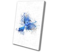 Blue Jay Bird Splash Animals SINGLE TELA parete arte foto stampa