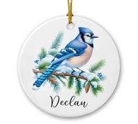 Blue Jay, ornamento in ceramica per albero di Natale, decorazione personalizzata per gli amanti della ghiandaia blu 2025, regalo di Natale per un collega amico, nome personalizzato uccelli invernali