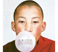 Blue Lotus - Seven Continents