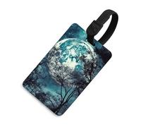Blue Moon - Etichette per bagagli con carta d'identità, resistenti etichette per borse da viaggio, impermeabili, per valigie, zaini e custodie da viaggio, stile nero