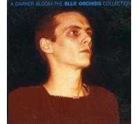 Blue Orchids - Darker Bloom