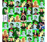 Blue Orchids - Mystic Bud