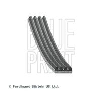 BLUE PRINT AD04R1645 Cinghia Poly-V per DAIHATSU