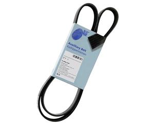 Blue Print AD04R845 Cinghia di Distribuzione