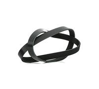 Blue Print AD05R1120 Cinghia Poly-V