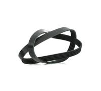 Blue Print AD05R1120 Cinghia Poly-V