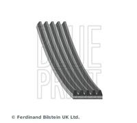 Cinghia trapezoidale multirighe EPDM (Etilene-Propilene-Diene-Caucciù) AD05R954