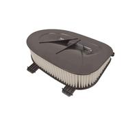 BLUE PRINT ADB112220 Filtro aria motore Cartuccia filtro