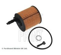 Filtro olio BLUE PRINT ADBP210121