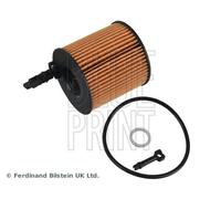 Filtro olio BLUE PRINT ADBP210121