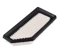 BLUE PRINT ADBP220096 Filtro aria