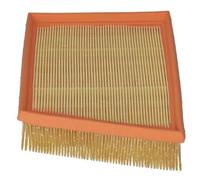 BLUE PRINT ADBP220117 Filtro aria