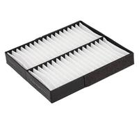 BLUE PRINT ADC42519 Filtro abitacolo