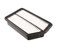 Filtro aria BLUE PRINT ADG022100