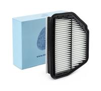 BLUE PRINT ADG022105 Filtro aria motore Cartuccia filtro con prefiltro