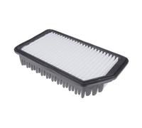 BLUE PRINT ADG022135 Filtro aria motore Cartuccia filtro