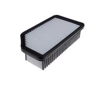 BLUE PRINT ADG022137 Filtro aria motore Cartuccia filtro