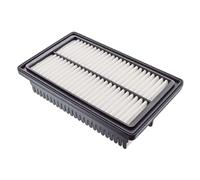 Filtro aria BLUE PRINT ADG022148