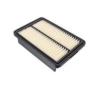 Filtro aria BLUE PRINT ADG022161