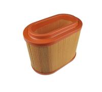 BLUE PRINT ADG02241 Filtro aria motore Cartuccia filtro