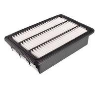 Filtro aria BLUE PRINT ADG02263