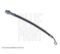 Tubo flessibile del freno BLUE PRINT ADG053299