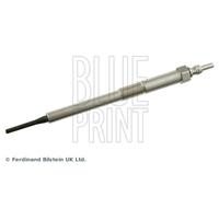 BLUE PRINT Candeletta per HONDA ADH21803