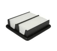 Blue Print ADH22271 Filtro Aria