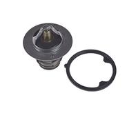 Blue Print ADH29222 Termostato, Refrigerante