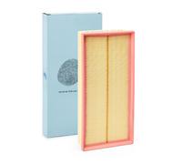 BLUE PRINT ADJ132206 Filtro aria