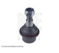 BLUE PRINT ADJ138620 Testina braccio oscillante Anteriore Sx Anteriore Dx